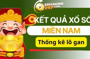 Cầu lô gan XSMN- Thống kê lo gan XSMN – XSKT