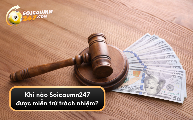 Khi nào soicaumn247 được miễn trừ trách nhiệm?