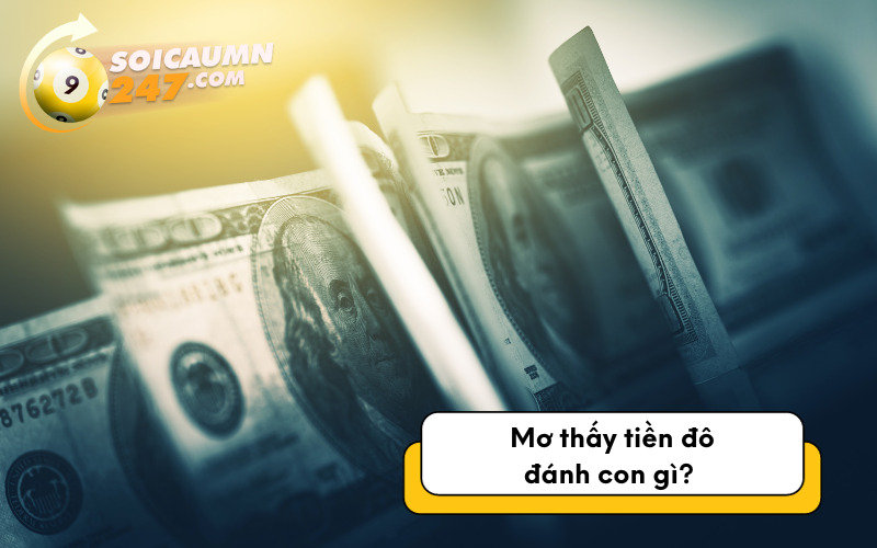 Mơ thấy tiền đô đánh con gì?