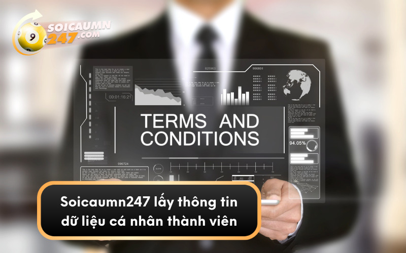 Soicaumn247 lấy thông tin dữ liệu cá nhân thành viên